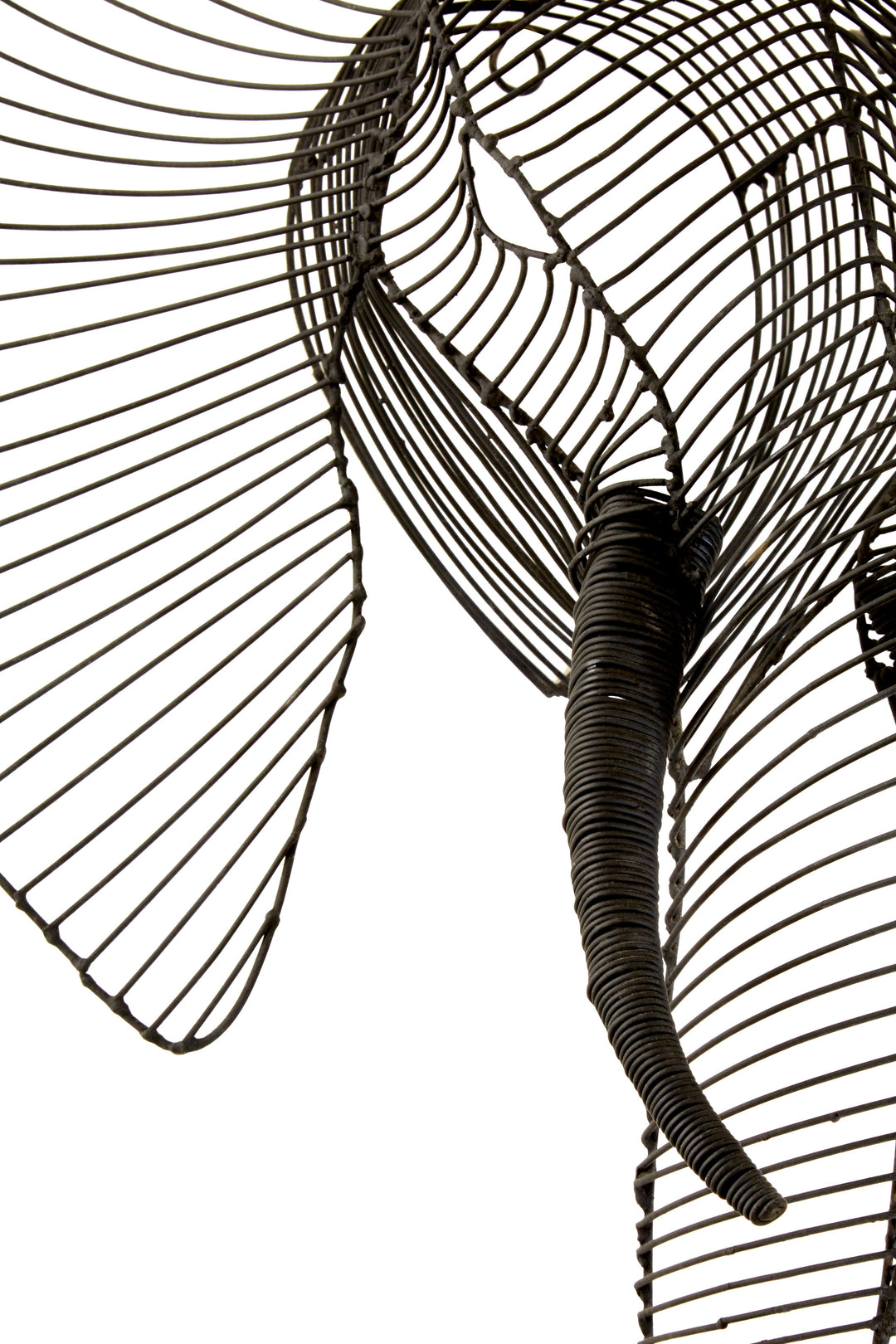 Zania Elephant Head Wall Sculpture