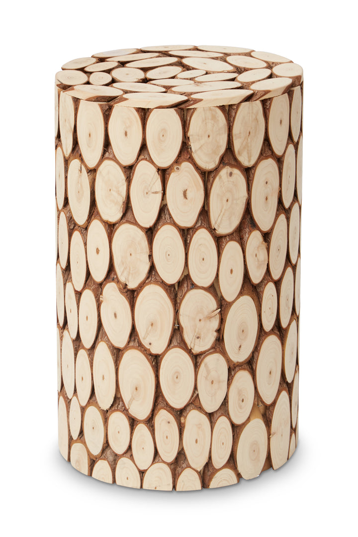 Lacuna Modern Accent Stool with Minimalist Design