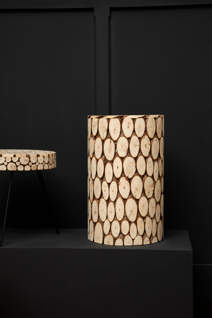 Lacuna Modern Accent Stool with Minimalist Design