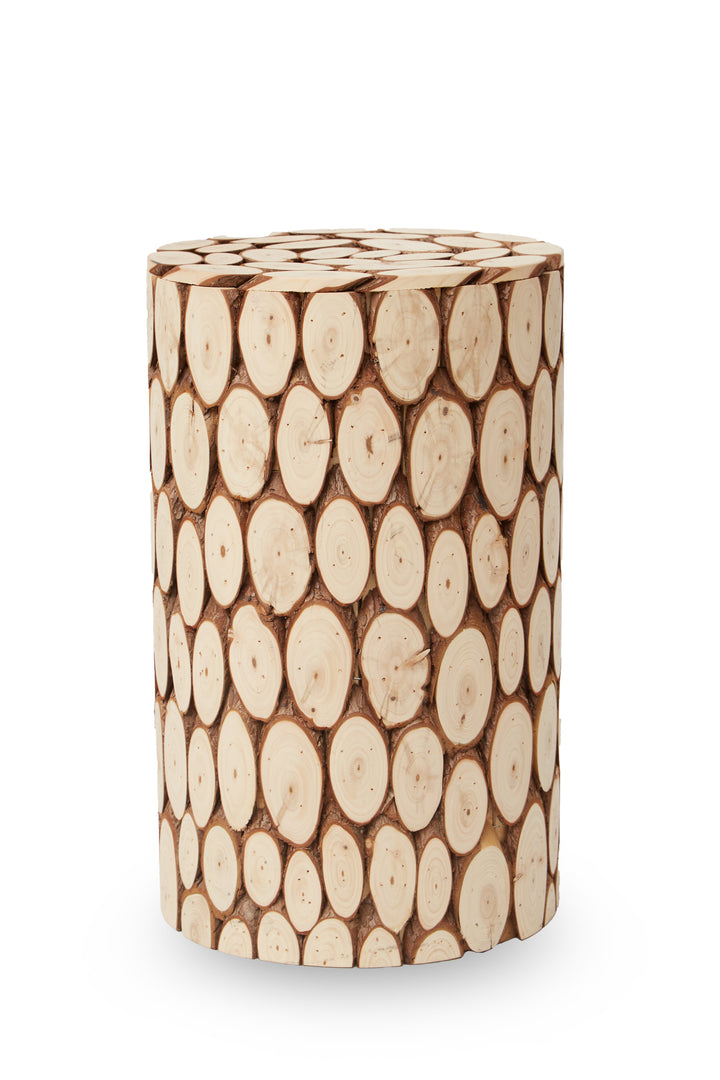 Lacuna Modern Accent Stool with Minimalist Design