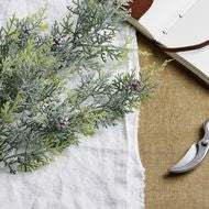 Frosted Pine Tall Stem with Pinecones