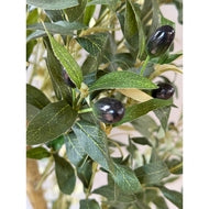 Calabria Large Decorative Olive Tree