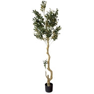 Calabria Large Decorative Olive Tree