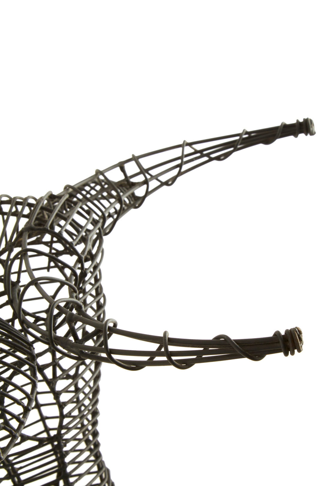 Zania Buffalo Head Sculpture in Black Finish