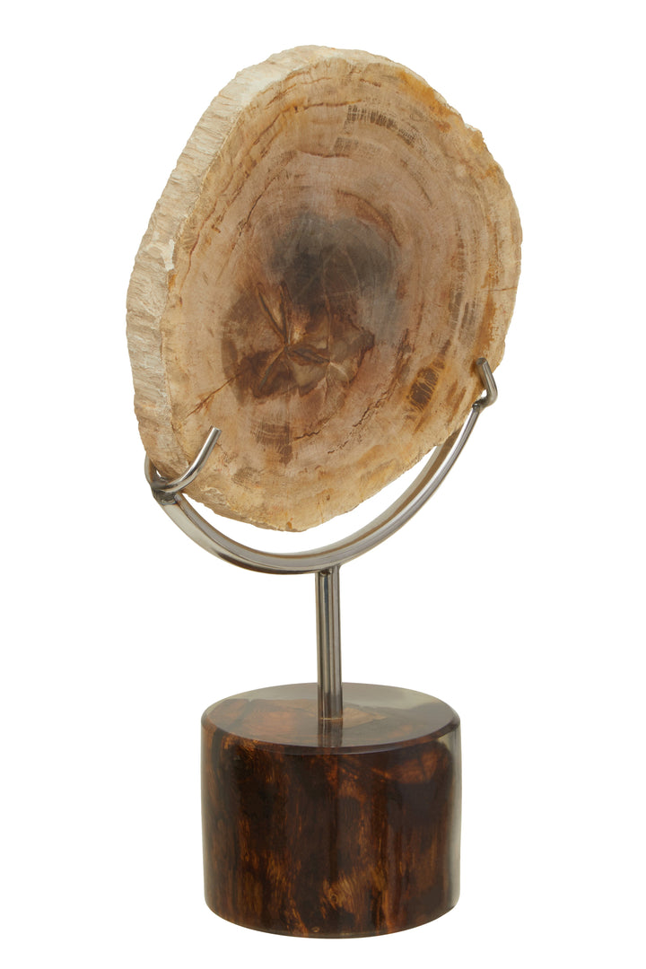Relic Petrified Wood Accent Sculpture