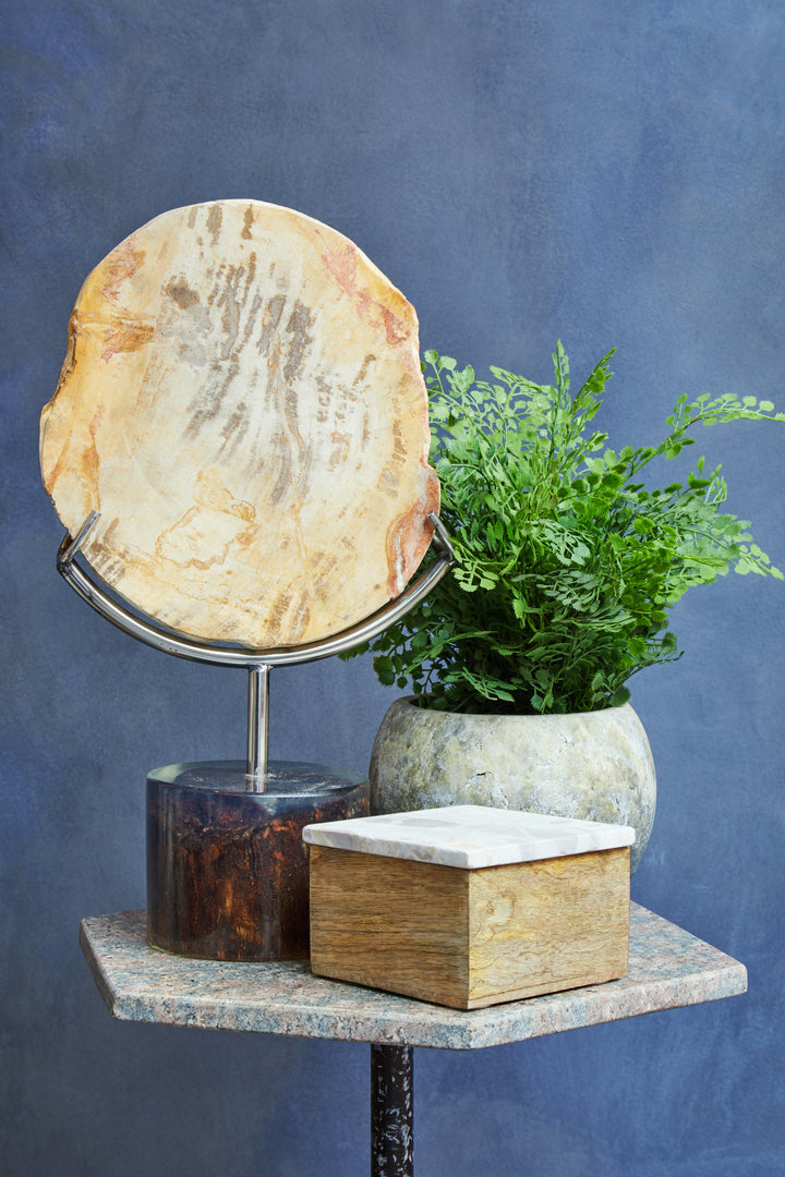 Relic Petrified Wood Accent Sculpture