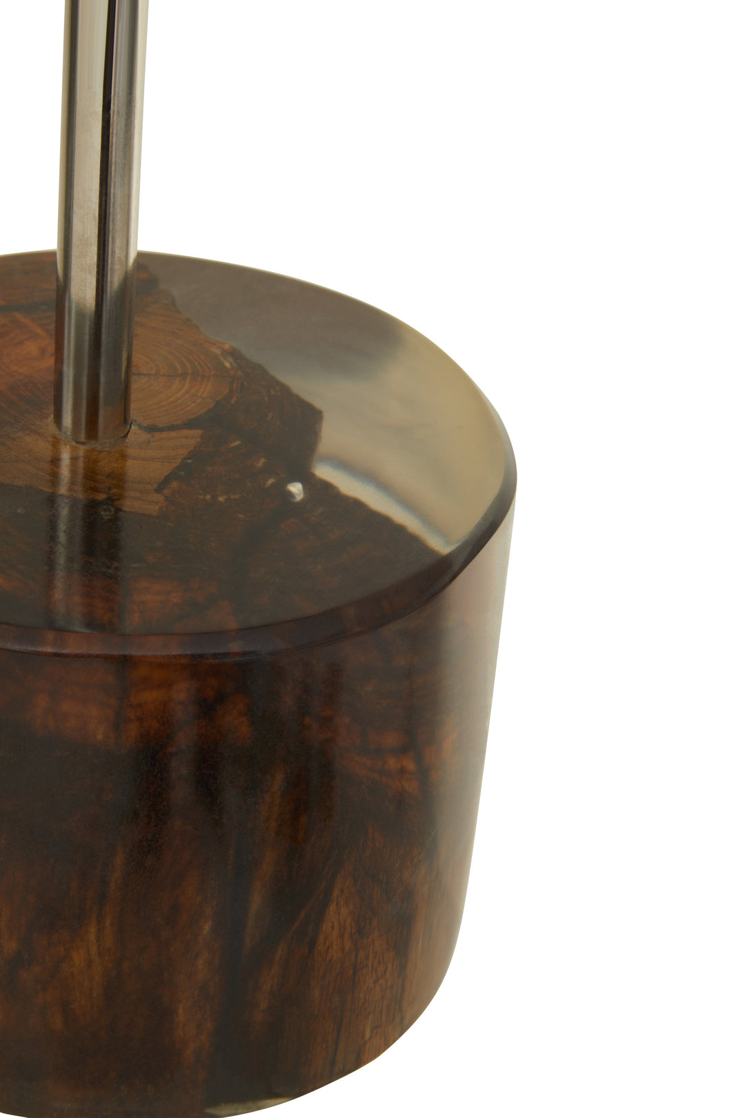 Relic Petrified Wood Accent Sculpture