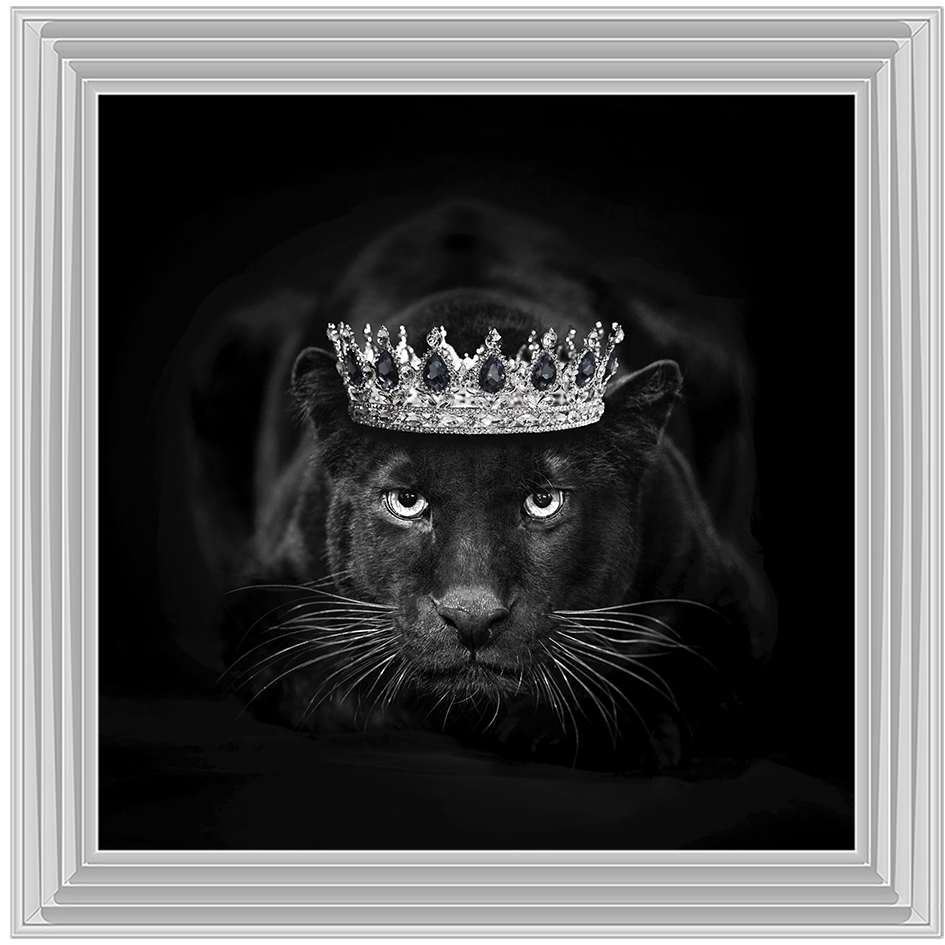 Royal Jaguar