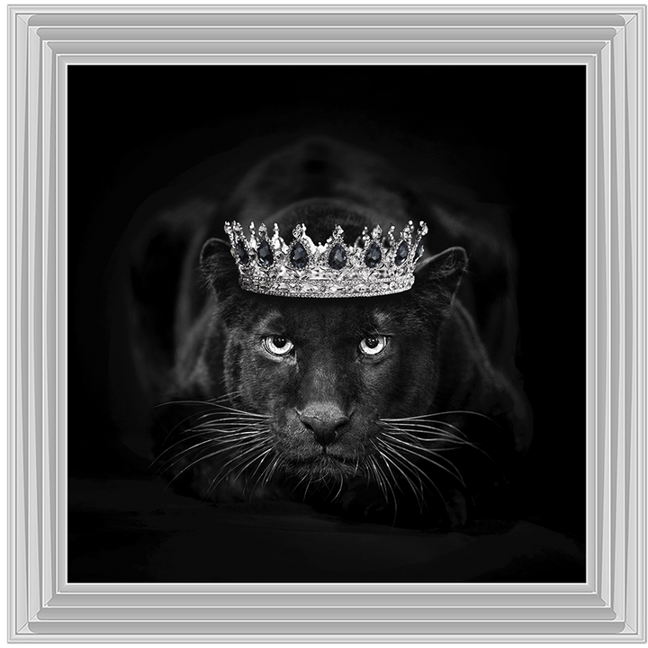Royal Jaguar
