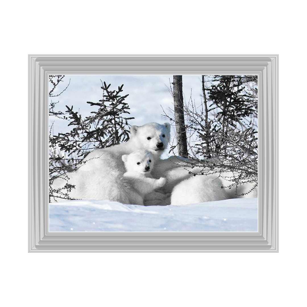 Winter Cubs