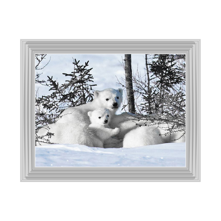 Winter Cubs