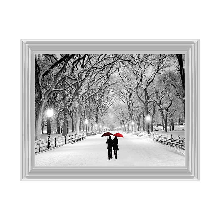 Walk through the snowy park