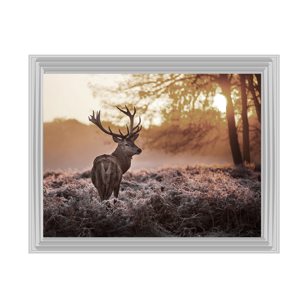 Single Stag 2