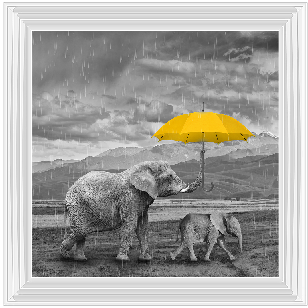 AN343 I've got you (yellow) II