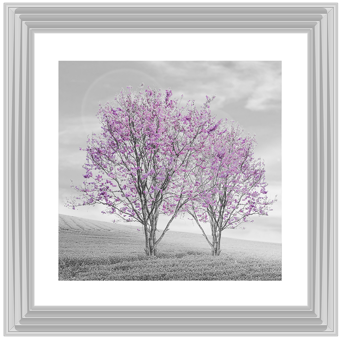 LS124 Purple Twin Trees