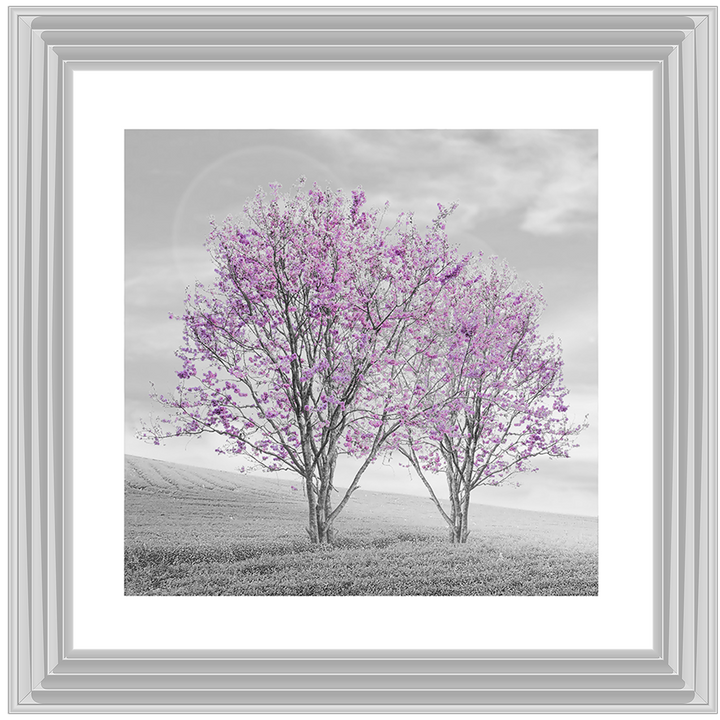 LS124 Purple Twin Trees