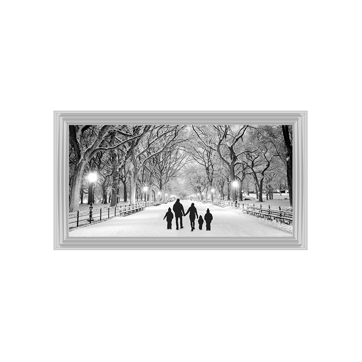 FG375  Family Walk