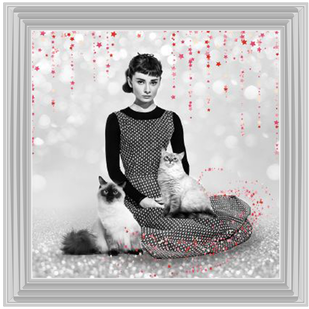 IC011 Audrey and cats
