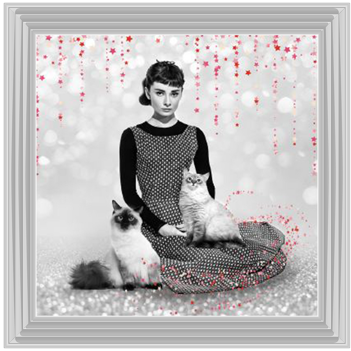 IC011 Audrey and cats