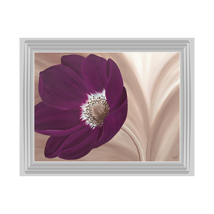 Velvet Anemone