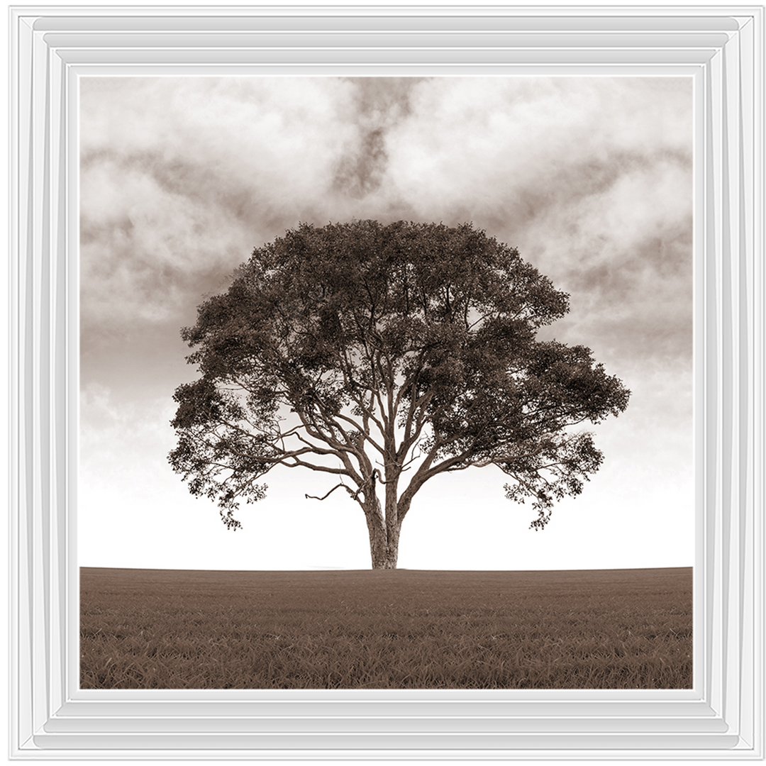 LS189 Lone Tree