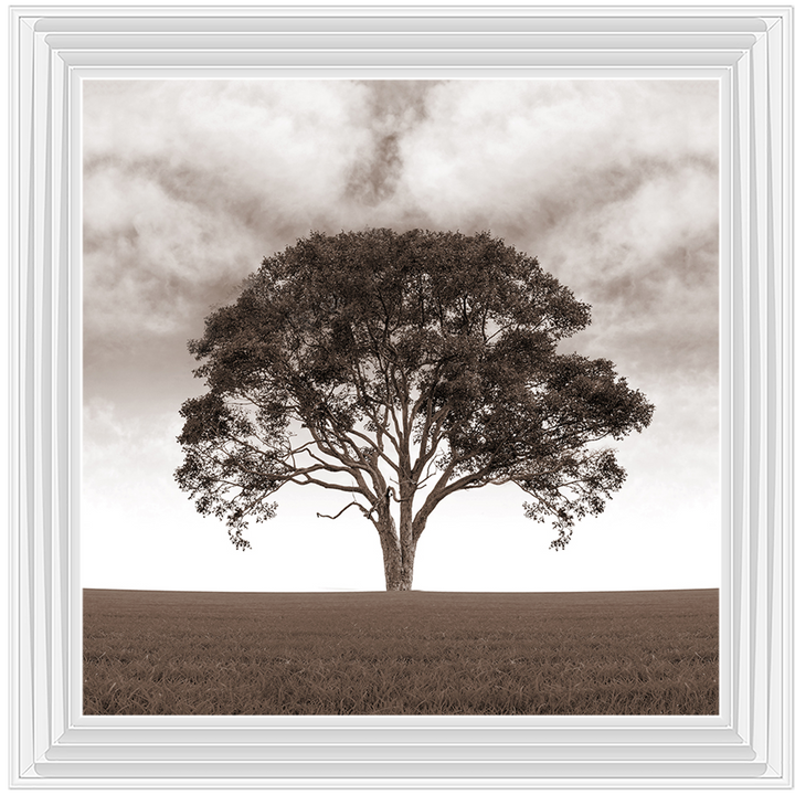 LS189 Lone Tree
