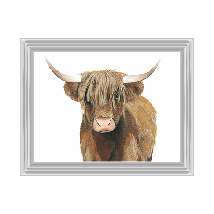 AN009 Highland Cattle II