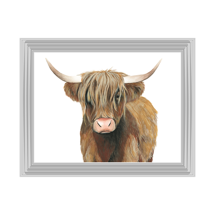 AN009 Highland Cattle II