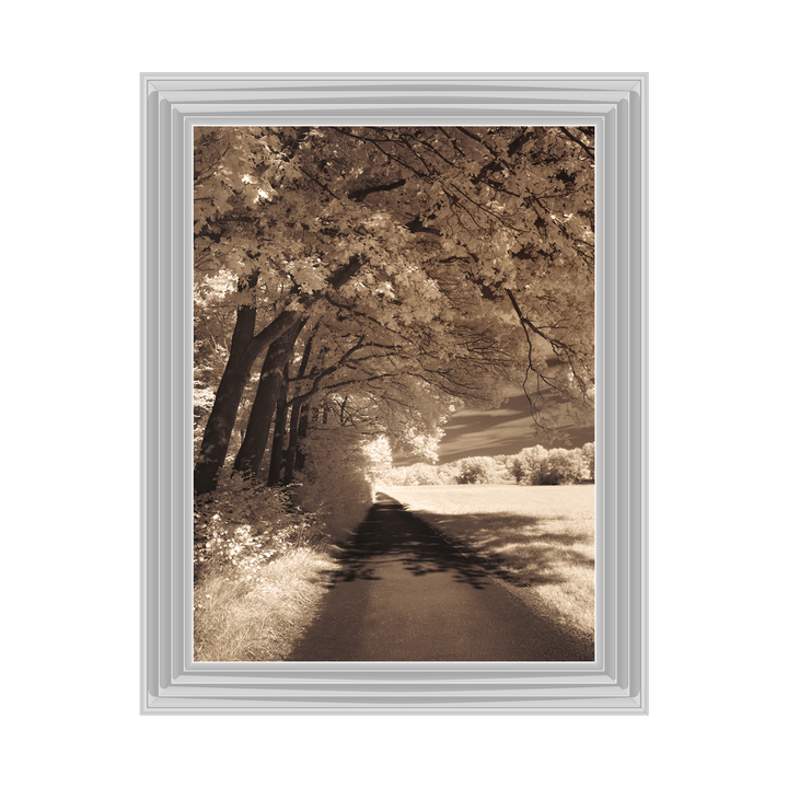 The Path Ahead