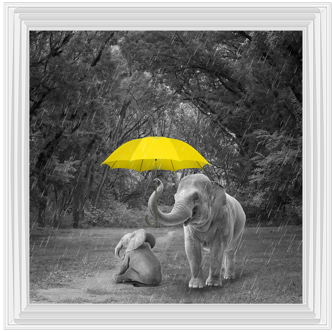 AN345 I've got you (yellow) III