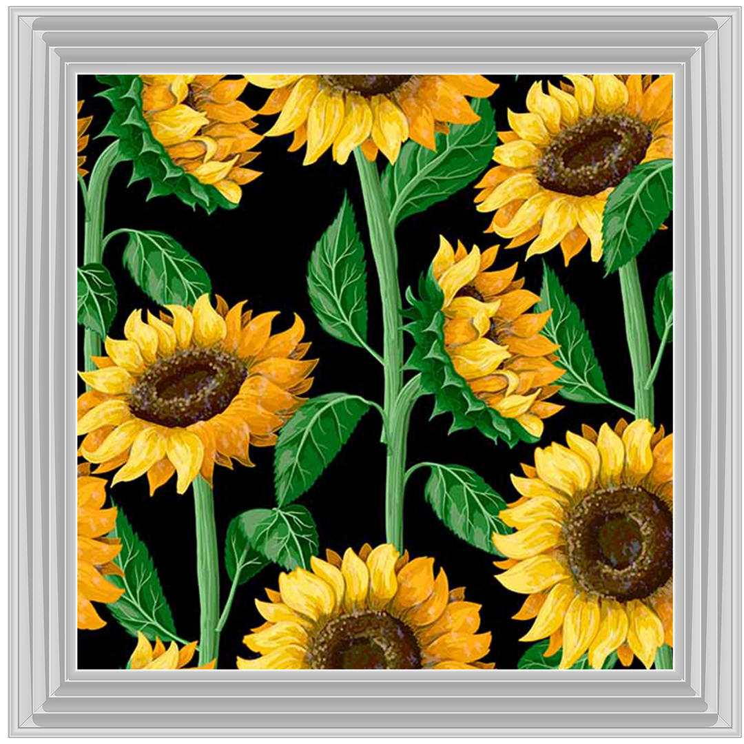 FL272 Climbing Sunflowers
