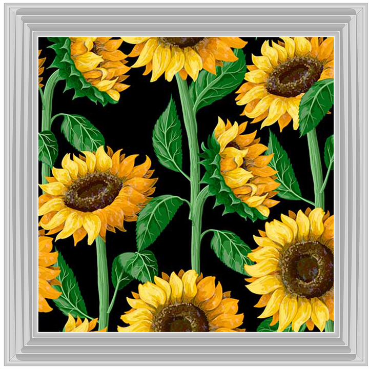 FL272 Climbing Sunflowers