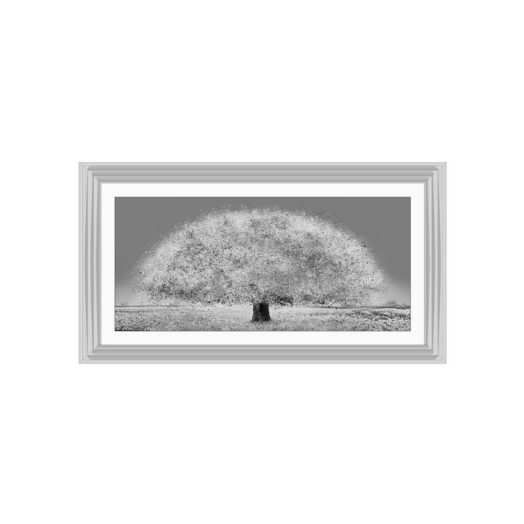 LS205 Black and white tree