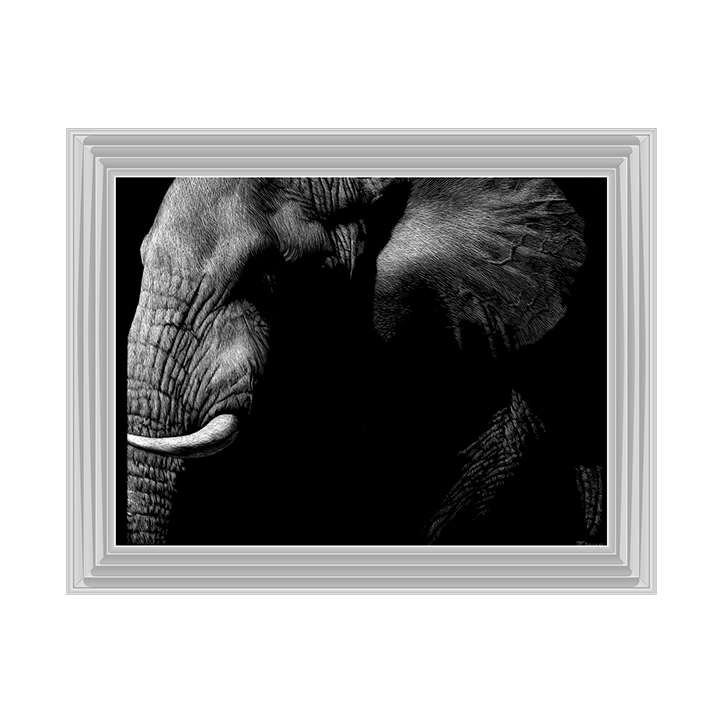 AN026 Wildlife Scratchboards III