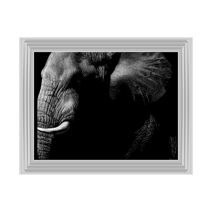 AN026 Wildlife Scratchboards III
