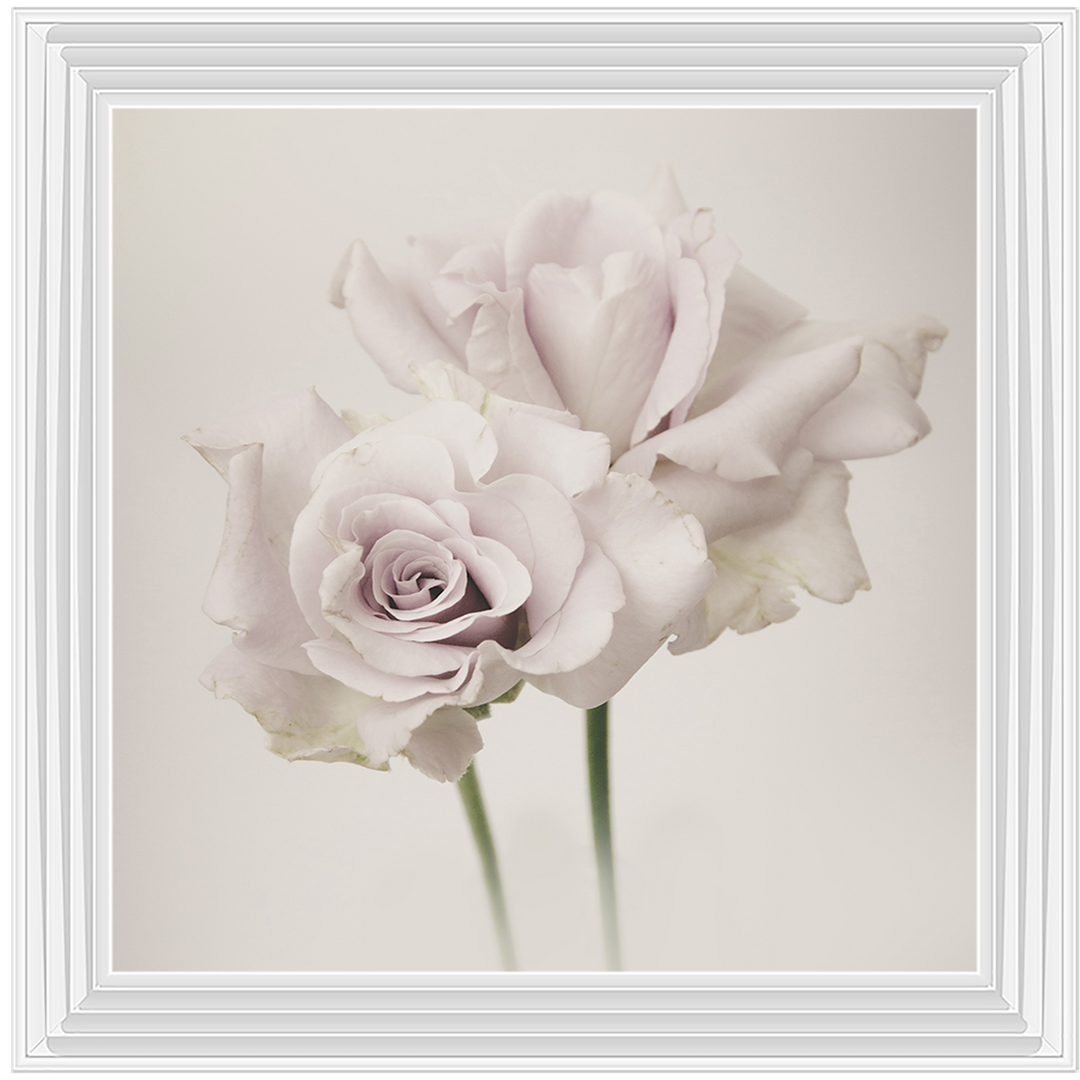 FL188 Flower Love