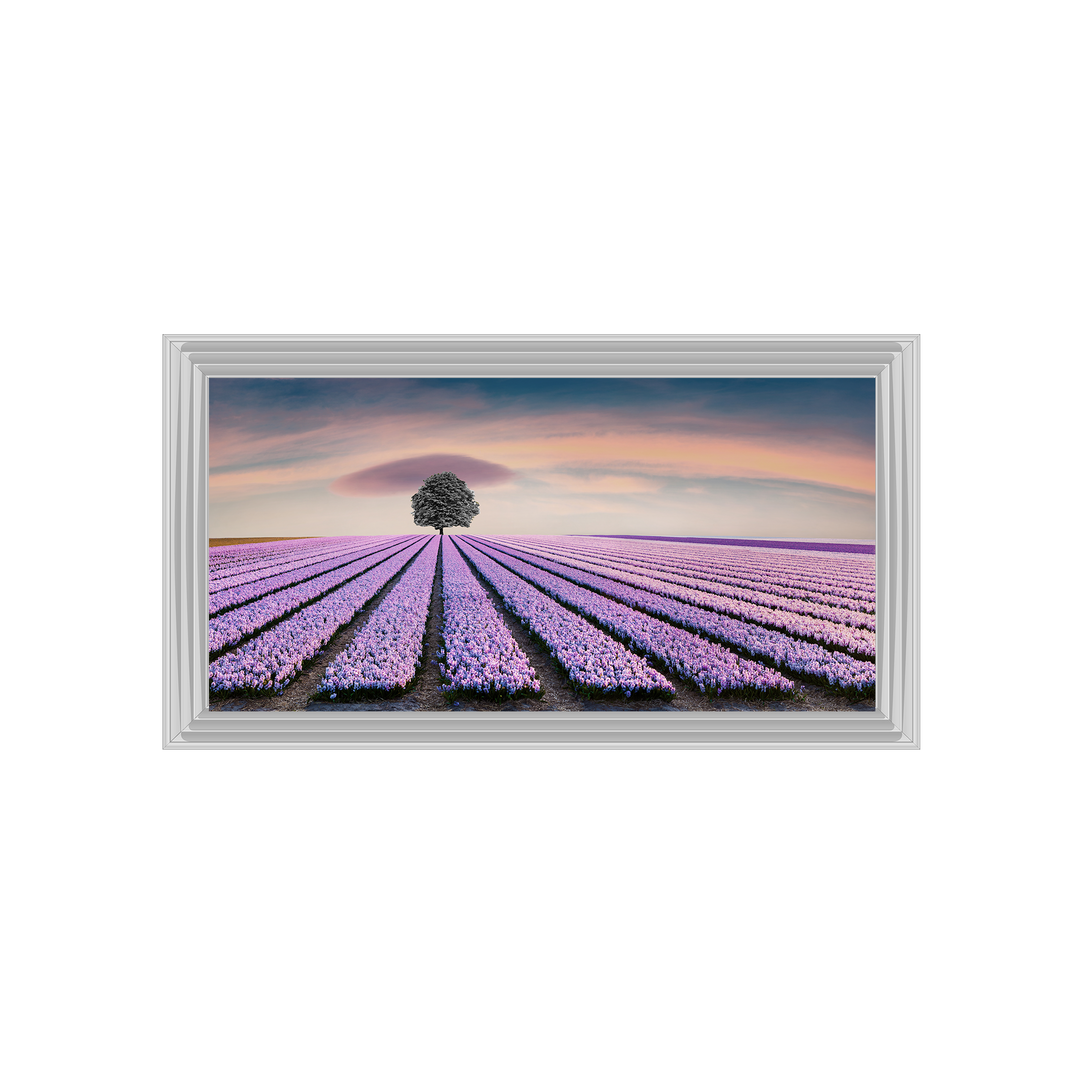 Purple Purple Field I