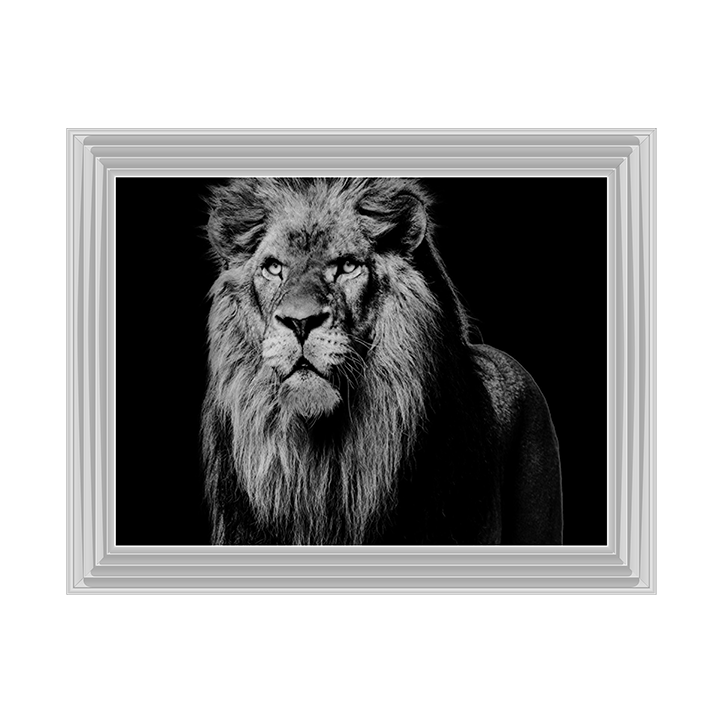Dark Night Leo