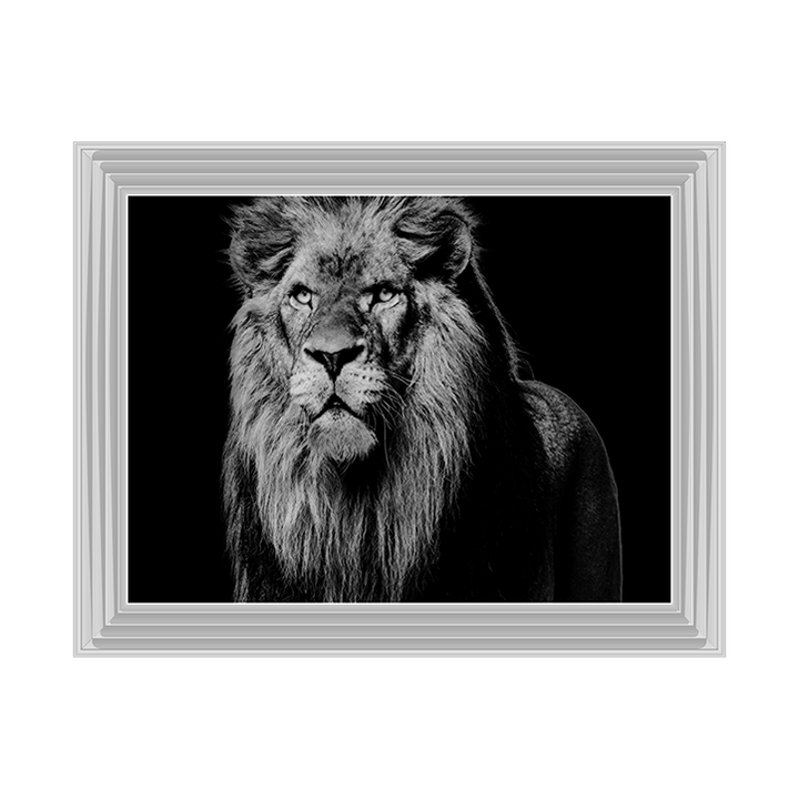 Dark Night Leo