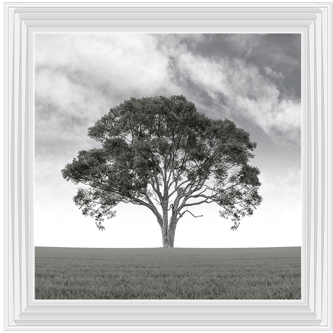LS190 Lone Tree 1