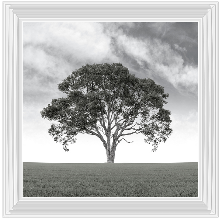 LS190 Lone Tree 1