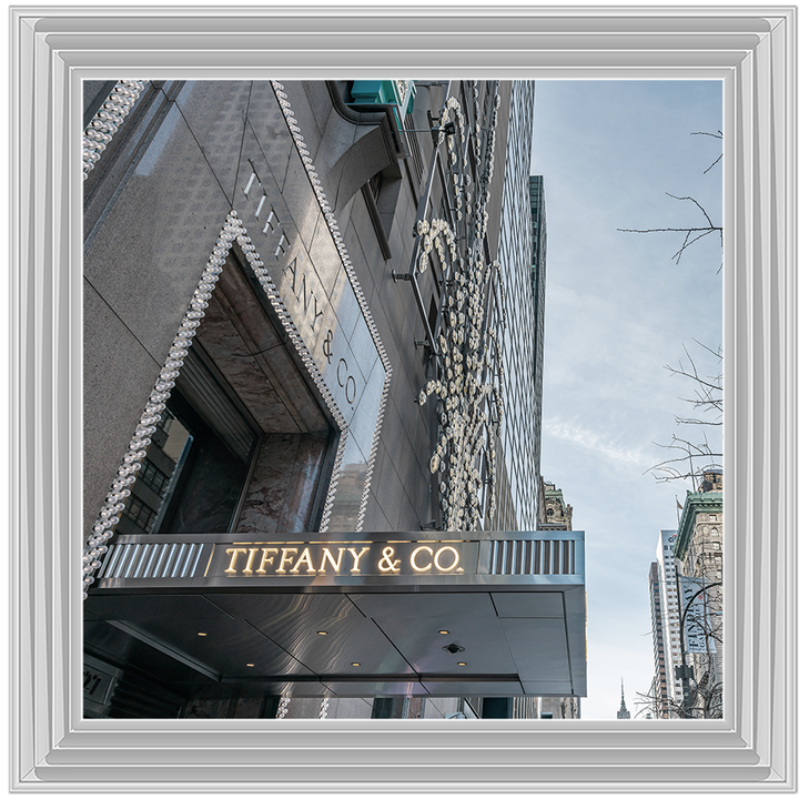 Store Front XV