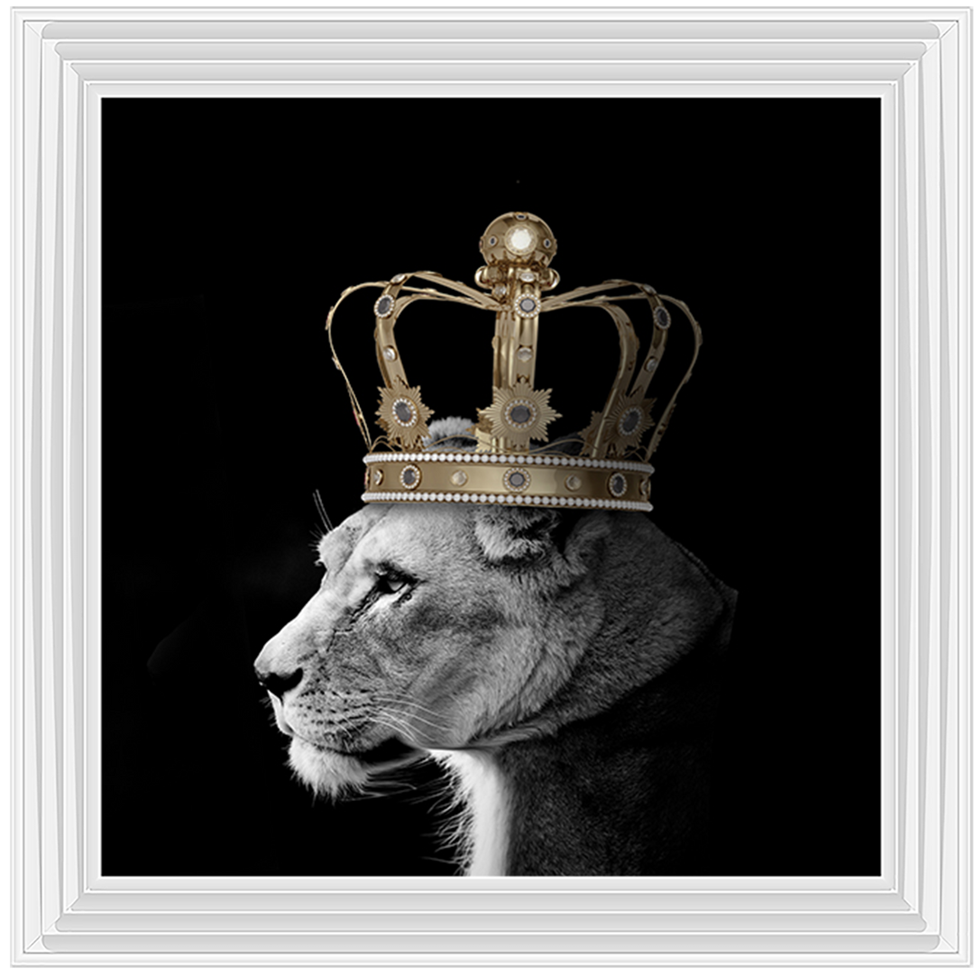 Queen Lion Gold