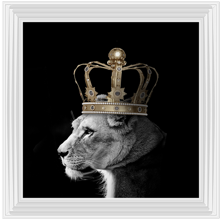 Queen Lion Gold