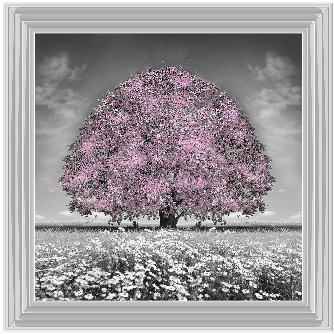 LS275 Pink Oak Tree