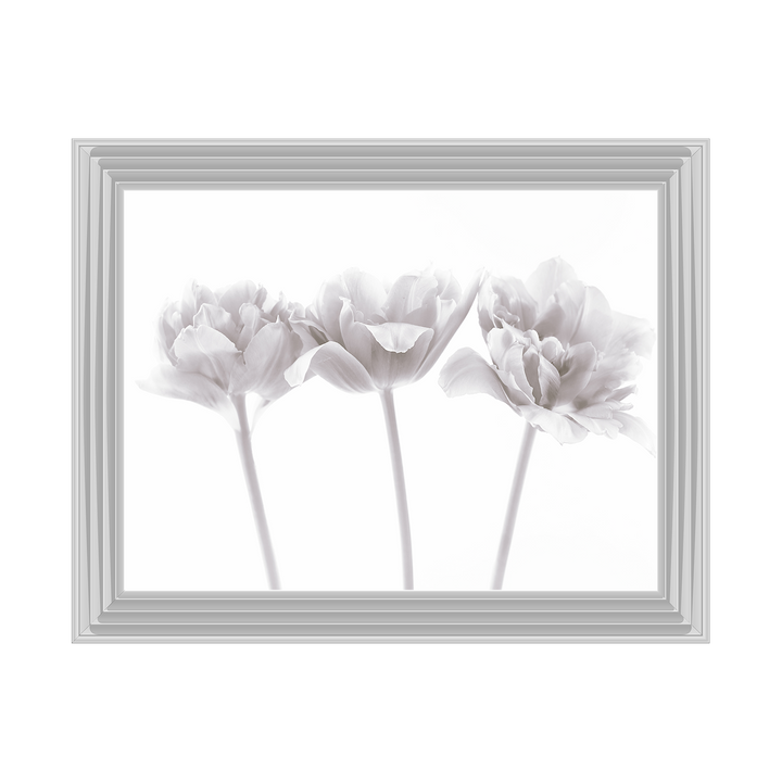 Set of 3 flowers