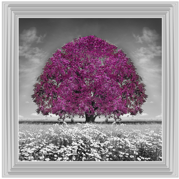 LS271 Purple Oak Tree