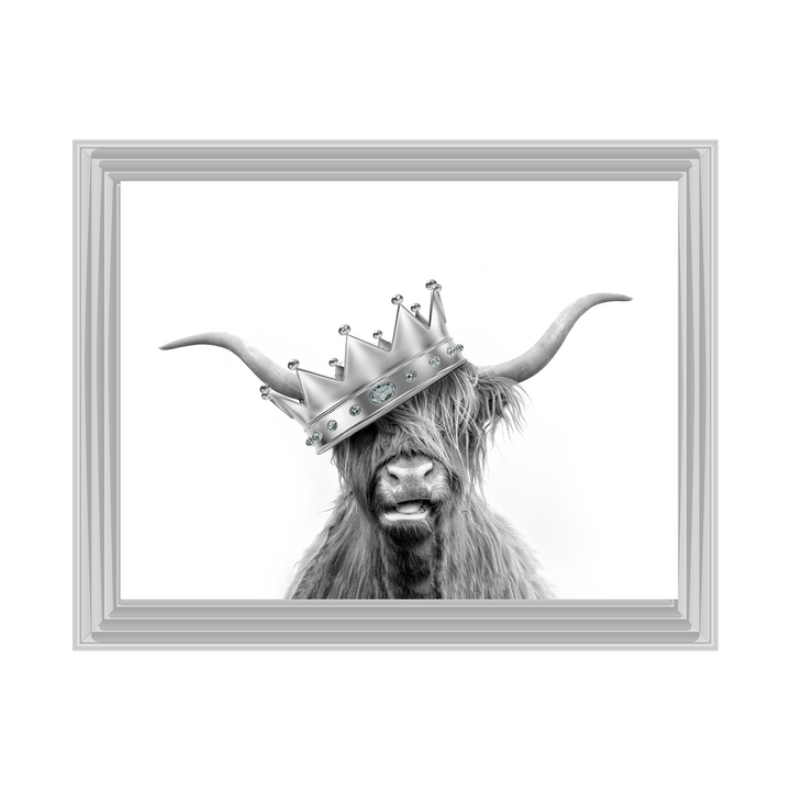 Crowned Highland Cow
