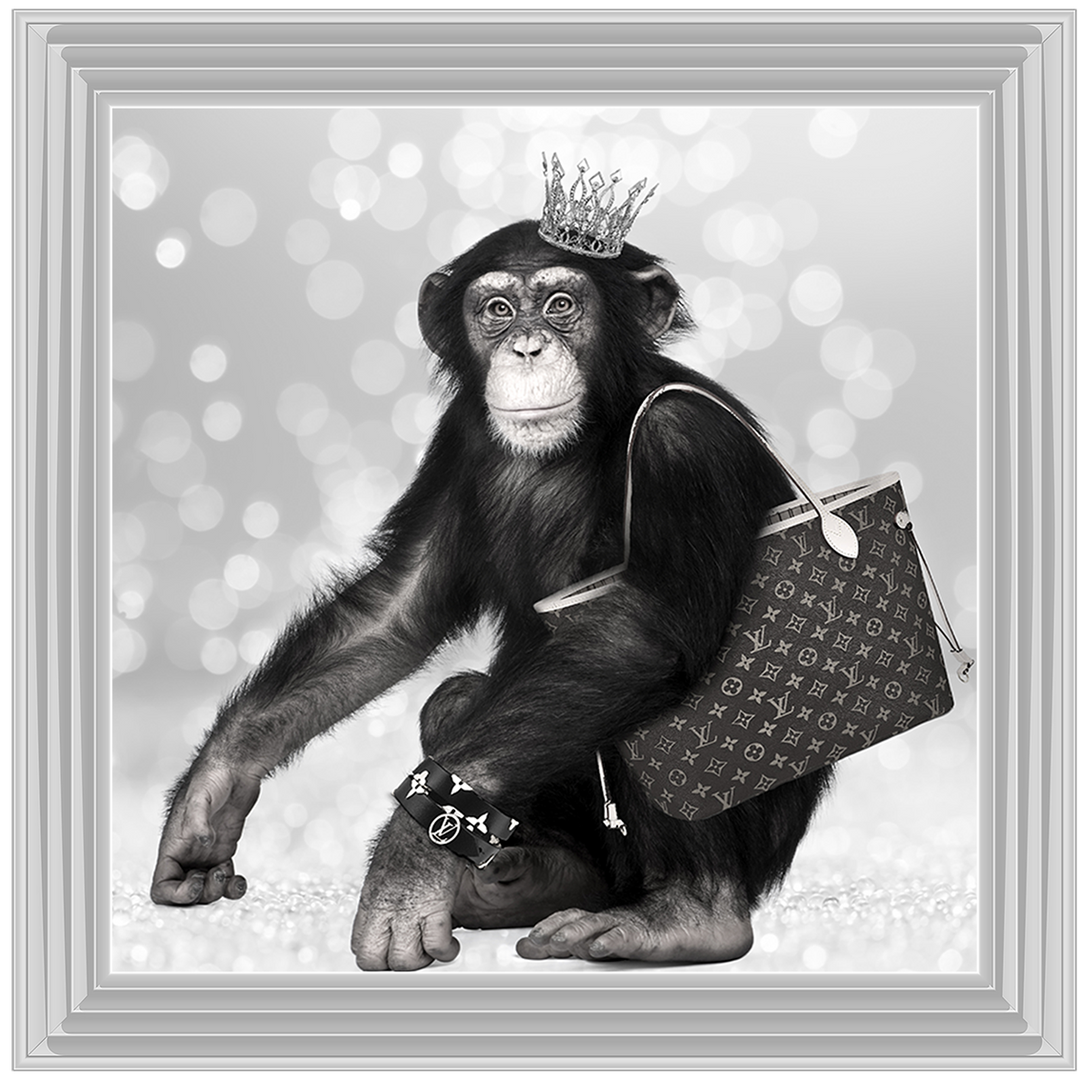 AN151 Designer Monkey