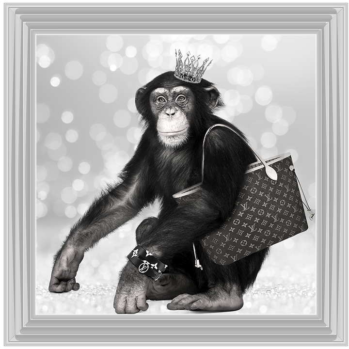AN151 Designer Monkey